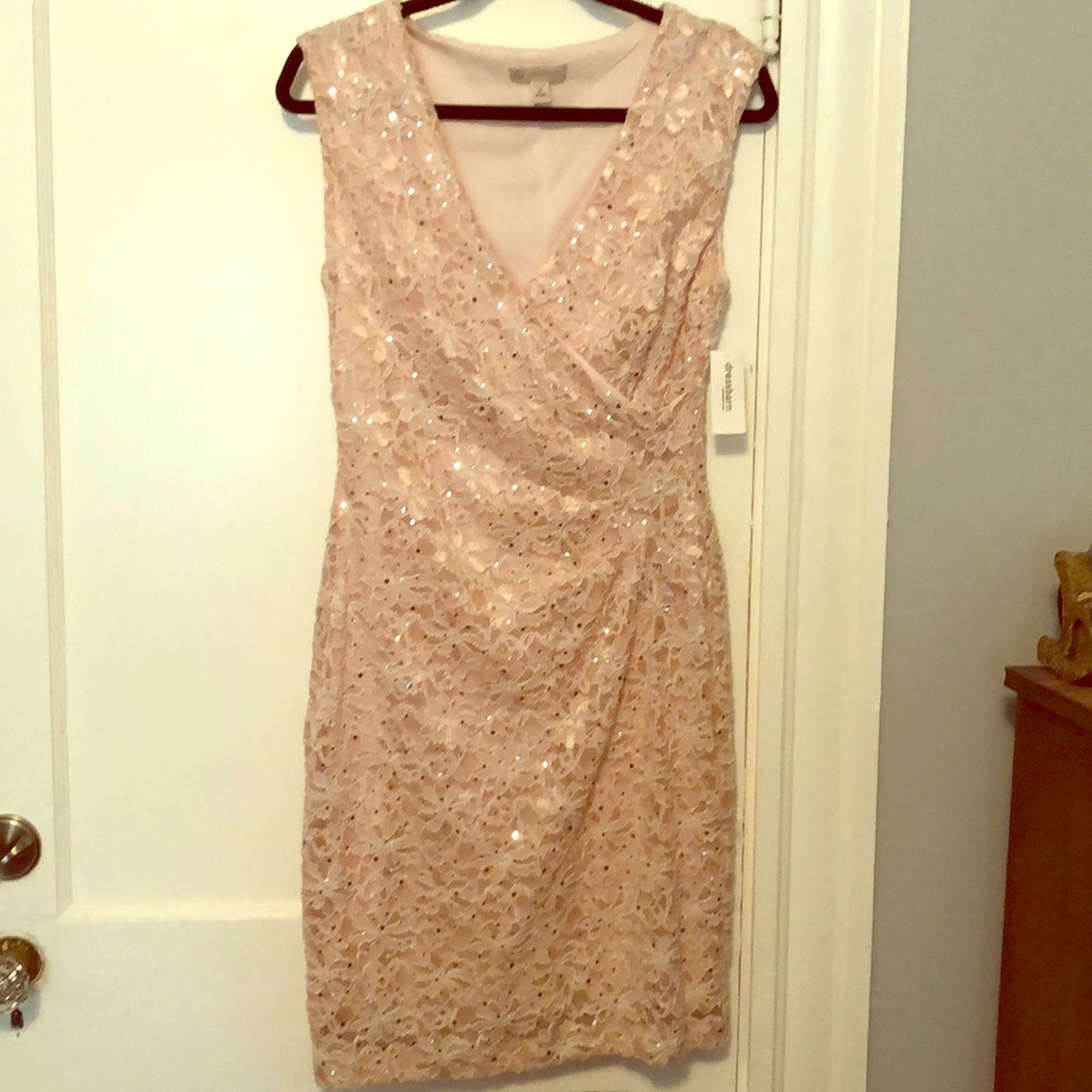 Lace Pink Dress floral detail and silver sequins